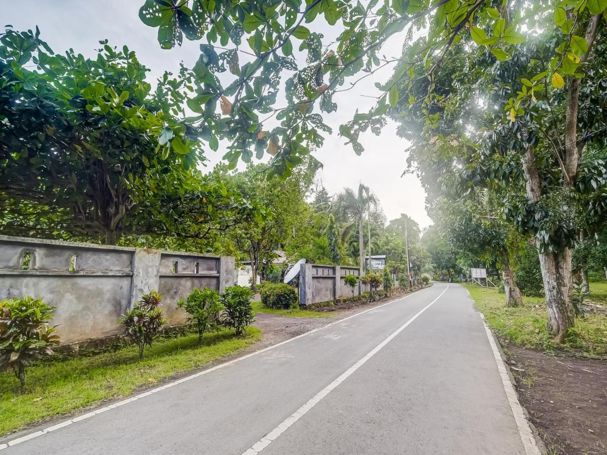 Oyo 90988 Tangkoko Jungle Homestay Rinondoran Eksteriør billede