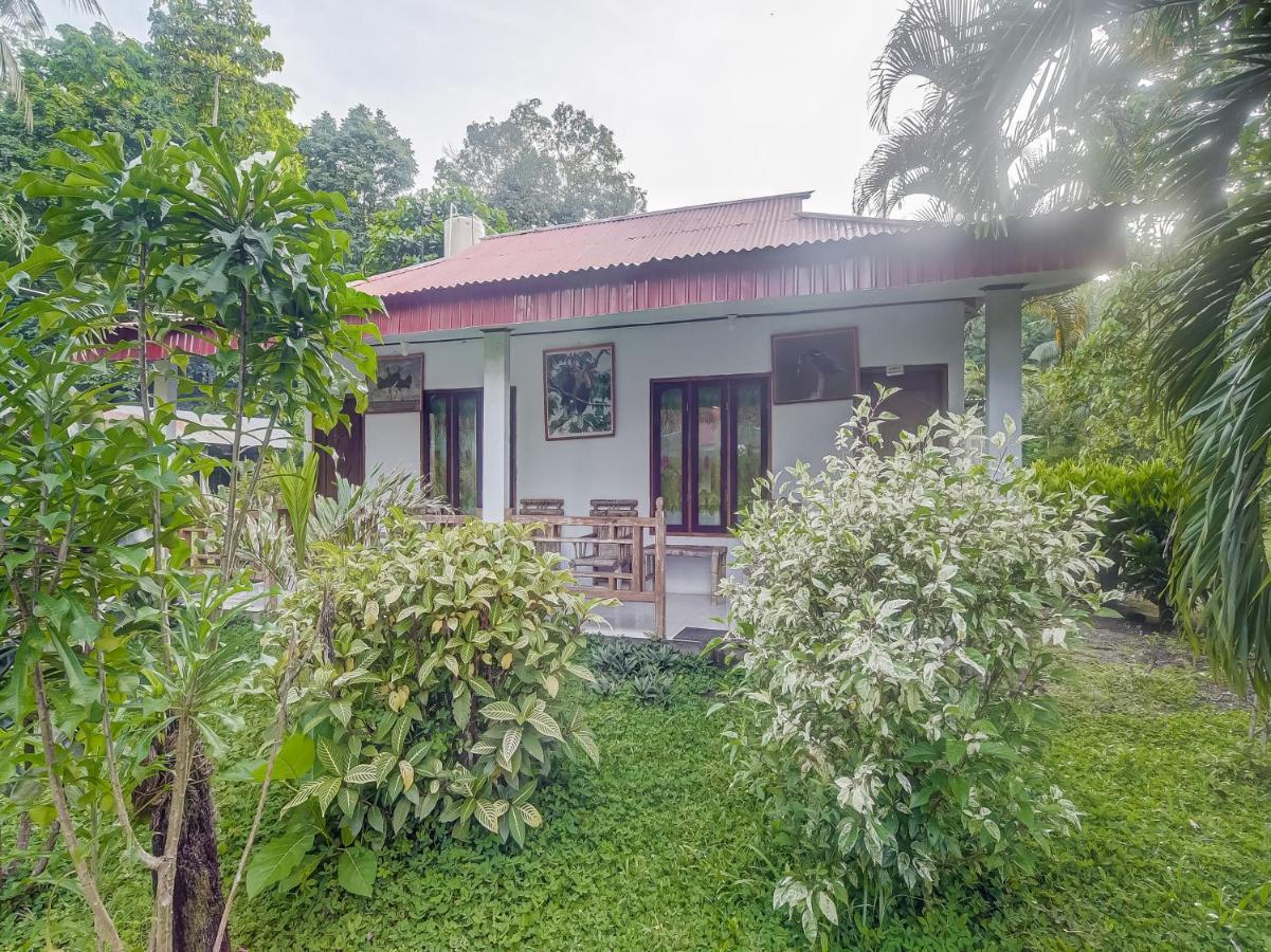 Oyo 90988 Tangkoko Jungle Homestay Rinondoran Eksteriør billede