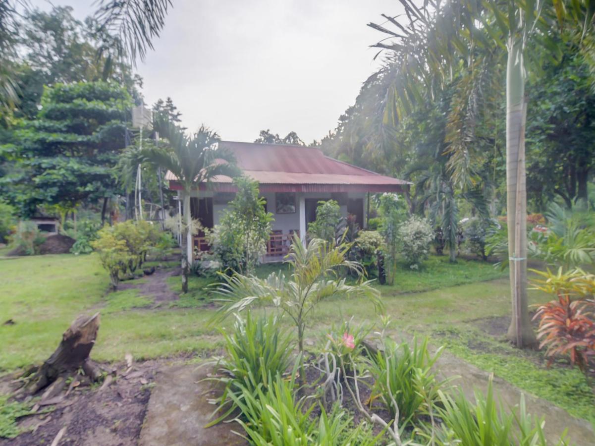 Oyo 90988 Tangkoko Jungle Homestay Rinondoran Eksteriør billede